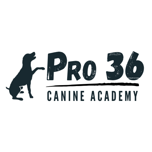Pro 36 Canine Academy