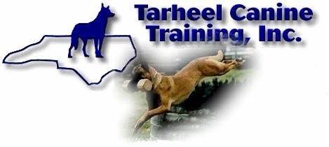 Justin training at Tarheel Canine
